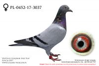 PL-0452-17-3037