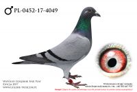 PL-0452-17-4049