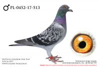 PL-0452-17-513