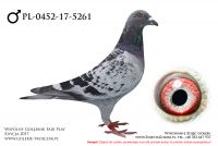 PL-0452-17-5261