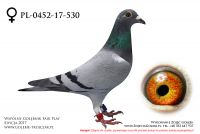 PL-0452-17-530