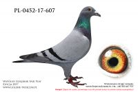 PL-0452-17-607