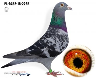 PL-0452-18-2235