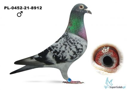 PL-0452-21-8912