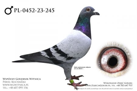 PL-0452-23-245: Osko Hubert, 70. Lotnik, m in 28m