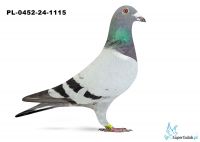 PL-0452-24-1115 - Hubert Osko 1 AS Krótki Dystans