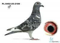 PL-0452-25-2189 Hubert Ośko