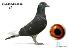 PL-0452-25-2210 Hubert Ośko