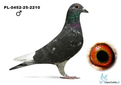 PL-0452-25-2210 Hubert Ośko