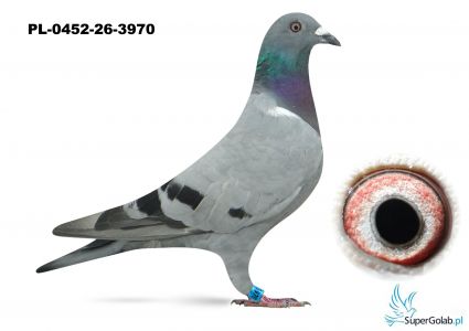 PL-0452-26-3970