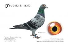 PL-0453-21-11393: Bartosz Wachnik, m in 21m, 36m, 13m, 29m, 15m, 11m z FINAŁU