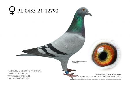 PL-0453-21-12790: Buczkowski Andrzej – II DRUŻYNA WG KRAKUS 2021 FINAŁ RADEBURG 507 KM