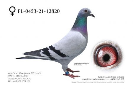 PL-0453-21-12820: Buczkowski Andrzej – II DRUŻYNA WG KRAKUS 2021 FINAŁ RADEBURG 507 KM