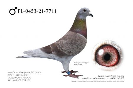 PL-0453-21-7711: Garczyński Mirosław