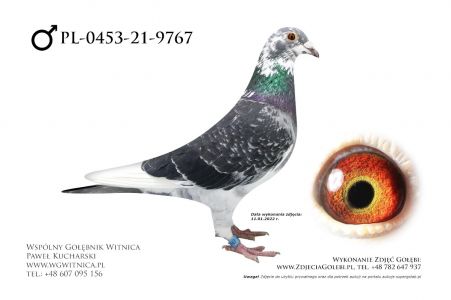 PL-0453-21-9767: Gaweł Lesław