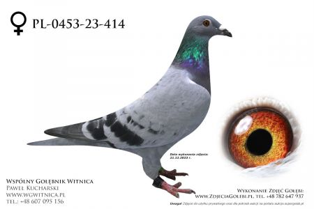 PL-0453-23-414: Dudka Jerzy, 39. Lotnik, m in 19m, 38m z FINAŁU