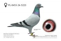 PL-0453-24-5223: Tomasz Brzuchanski, 1 AS DOROSŁE CUP 2025, m in 2m, 1m, 8m, 7m, 4m, 2m z FINAŁU