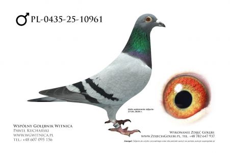 PL-0453-25-10961: Tomasz Brzuchanski, 13. Lotnik, m in 12m, 29m z FINAŁU