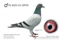 PL-0453-25-10970: Tomasz Brzuchanski