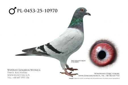 PL-0453-25-10970: Tomasz Brzuchanski