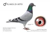 PL-0453-25-10973: Tomasz Brzuchanski, m in 16m