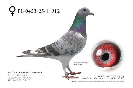 PL-0453-25-11912: Sylwester Zukowski