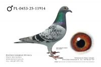 PL-0453-25-11914: Sylwester Zukowski, 17. Lotnik, m in 26m, 48m