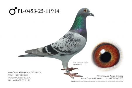 PL-0453-25-11914: Sylwester Zukowski, 17. Lotnik, m in 26m, 48m