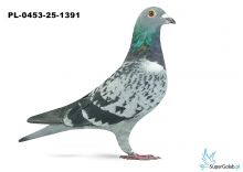 PL-0453-25-1391 23. OKRĘG GORZÓW WIELKOPOLSKI