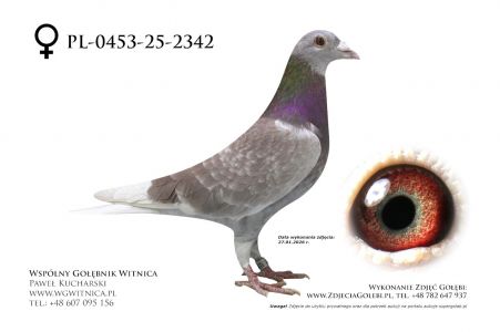 PL-0453-25-2342: Janusz Bronis, 66. Lotnik