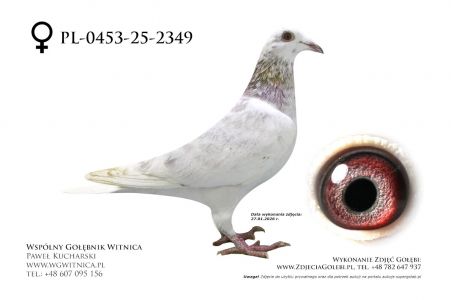 PL-0453-25-2349: Janusz Bronis, 79. Lotnik