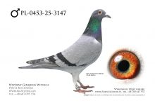 PL-0453-25-3147: Janusz Barth