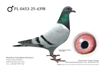 PL-0453-25-4398: Marian Miloszewski