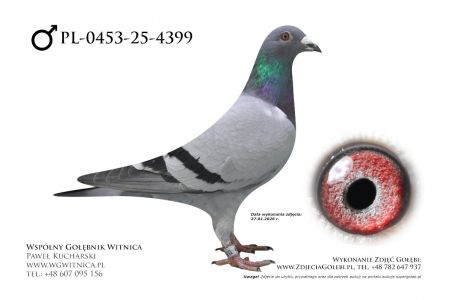 PL-0453-25-4399: Marian Miloszewski, 38. Lotnik, m in 40m z FINAŁU