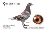 PL-0453-25-4786: Marian Miloszewski, 77. Lotnik, m in 30m, 32m