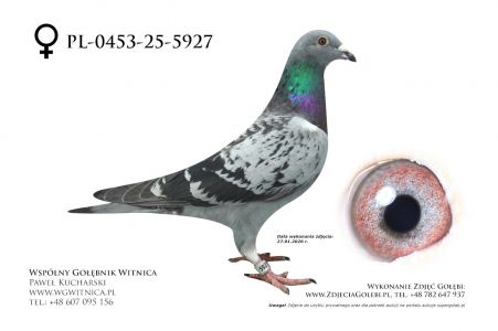 PL-0453-25-5927: Zychowicz-Gawel, m in 22m