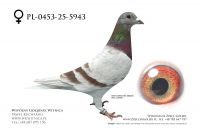 PL-0453-25-5943: Sylwester Zukowski