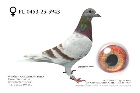 PL-0453-25-5943: Sylwester Zukowski