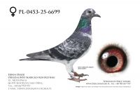 PL-0453-25-6699 - samica