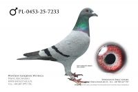 PL-0453-25-7233: Leslaw Gawel, 50 Lotnik, m in 16m z FINAŁU