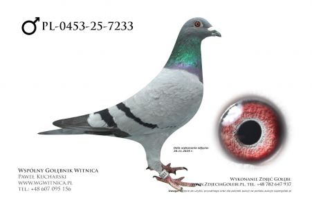 PL-0453-25-7233: Leslaw Gawel, 50 Lotnik, m in 16m z FINAŁU