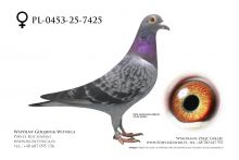 PL-0453-25-7425: Team Witnica, 44. Lotnik, m in 17m z FINAŁU