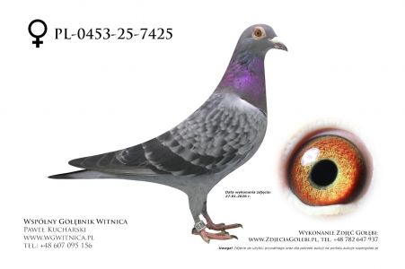 PL-0453-25-7425: Team Witnica, 44. Lotnik, m in 17m z FINAŁU