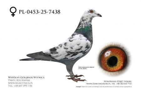 PL-0453-25-7438: Andrzej Buczkowski, 45. Lotnik, m in 18m z FINAŁU