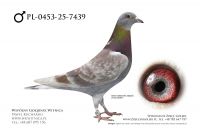 PL-0453-25-7439: Andrzej Buczkowski