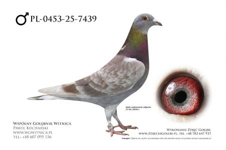 PL-0453-25-7439: Andrzej Buczkowski