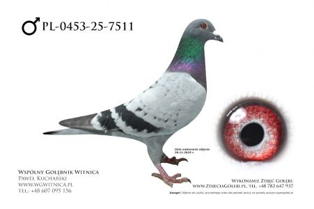 PL-0453-25-7511: Jerzy Dudka, m in 47m, 37m z FINAŁU