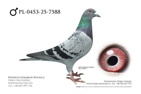 PL-0453-25-7588: Jerzy Dudka