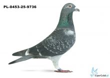 PL-0453-25-9736 23. OKRĘG GORZÓW WIELKOPOLSKI 