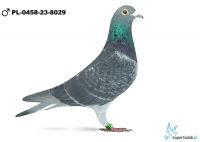 PL-0458-23-8029